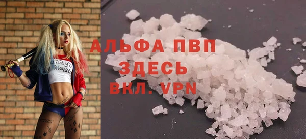 шишки Козельск