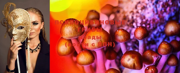 apvp Абаза