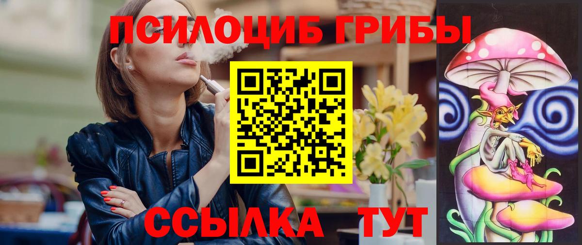 что такое   Вход с VPN  Партизанск  Псилоцибиновые грибы мицелий  Псилоцибиновые грибы прущие грибы 