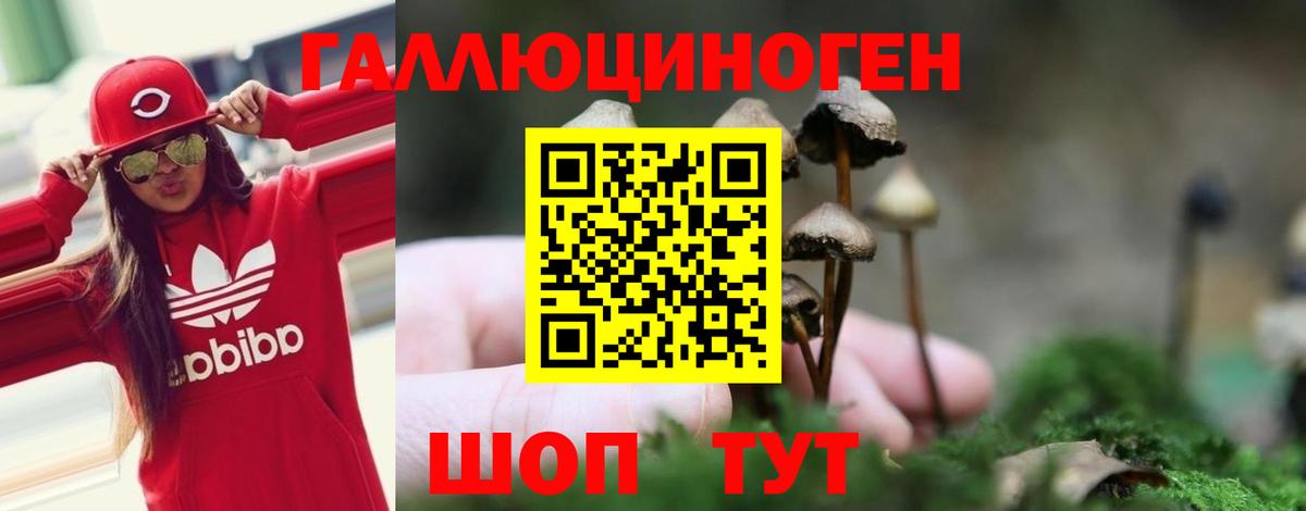 Галлюциногенные грибы Cubensis Партизанск